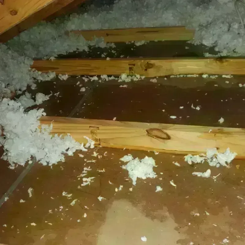 Attic Water Damage in Taylor, TX