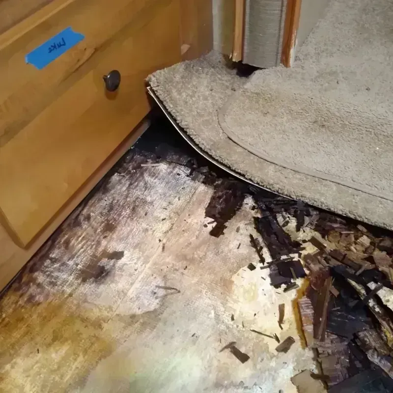 Wood Floor Water Damage in Taylor, TX